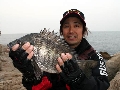 春本番!瀬戸内海のチヌに挑む!.jpg